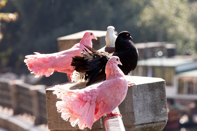 一举措的深 一举措的深