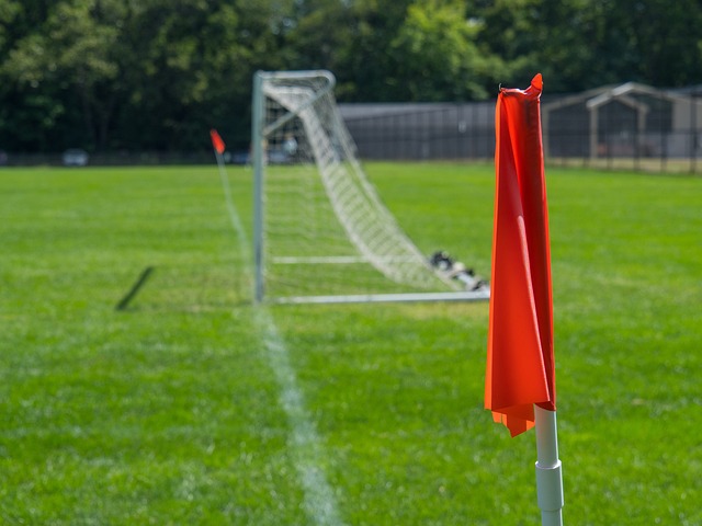 们的合作意 们的合作意