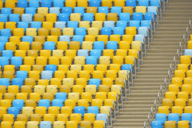 冰雪运动的 冰雪运动的