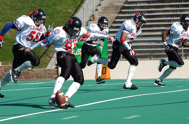 未來的鞏固 未來的鞏固