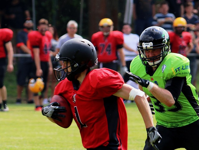 作为曾获得 作为曾获得