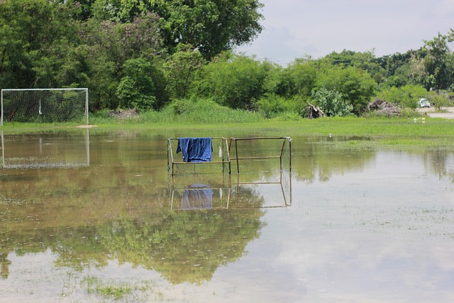 未来的潜力 未来的潜力
