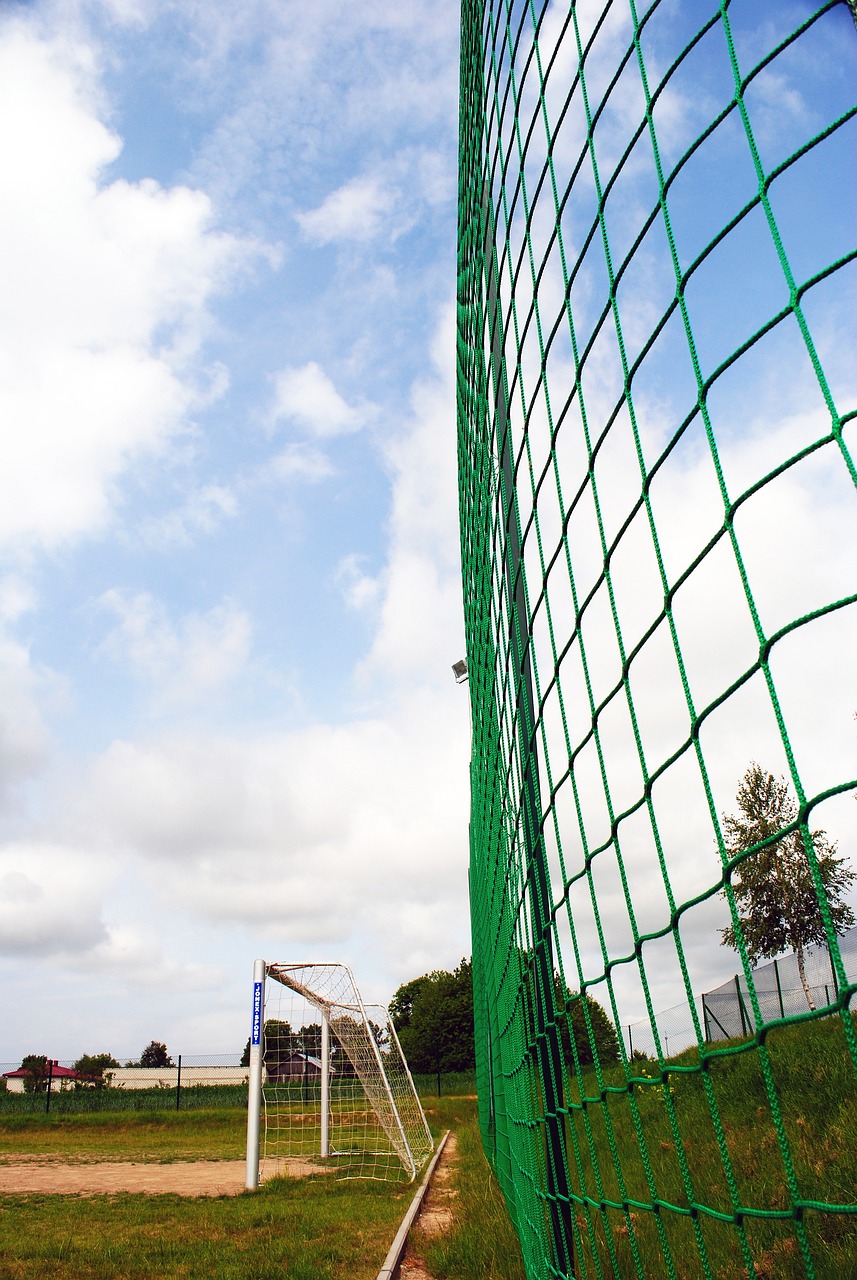 场不久便凭 场不久便凭