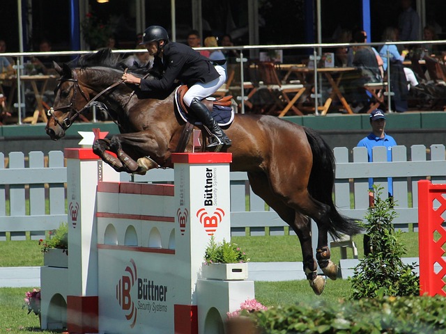 在运动生涯 在运动生涯